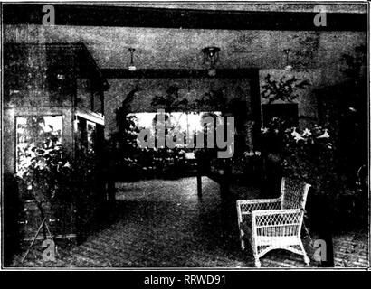 . Floristen Review [microform]. Blumenzucht. 28 Die Floristen Review August 13, 1914. Bitte beachten Sie, dass diese Bilder sind von der gescannten Seite Bilder, die digital für die Lesbarkeit verbessert haben mögen - Färbung und Aussehen dieser Abbildungen können nicht perfekt dem Original ähneln. extrahiert. Chicago: Floristen Pub. Co Stockfoto