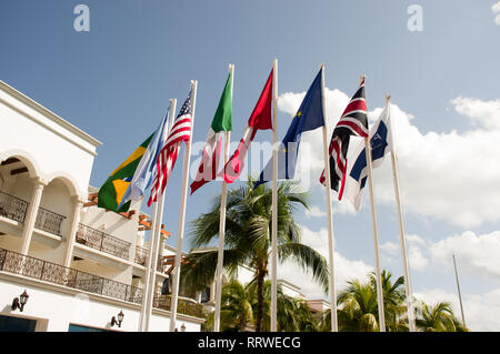 Nationale Fahnen mit Palmen im Hintergrund und die Flaggen sind aus Brasilien, USA, Italien, Europäische Union, Vereinigtes Königreich Stockfoto