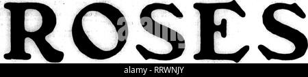 . Floristen Review [microform]. Blumenzucht. Mabch 27, 1913. Die Floristen Review 23. Die besten AKTIEN IM GROSSEN ANGEBOT Es ist eine Tatsache, die Sie leicht nachweisen kann, dass, Länge die Länge, das unsere Rosen größer und feiner Kopf als jeder andere auf diesem Markt führen. Wir bitten den Einzelhändlern frei zur Bestellung unserer Killarney, Weiß Killamey und Frau Ward, für die wir bestimmte durch Freunde für diejenigen, die von uns zu kaufen sind, dass diese Rosen Freunde werden für uns gewinnen. Frau Ward ist in volle Ernte und eine herrliche Verkäufer. Eemember Wir haben eine volle Linie: Killarney, Killarney, Station, Richmond, Ausstrahlung, Sunburst, Bulgarle (Mrs. Taft) Stockfoto