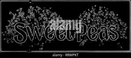 . Floristen Review [microform]. Blumenzucht. ? ^f meine Ip "i"; "ich, w, ich • w w9 '/" "s", T!. Ich "j", ich "T"? lllJn^^^ w", %i&gt; ich.'" Ifj ^ wi'&gt; y": "'j'''? j." jHf'' - ".^ "iM." Ich", "w" Ich. iv * '''|!: p?*&lt; ich |'!; "V*"™ r? WB?'" Wlil (V'' JWI^14 dem Floristen^ Review Decembbb 19, 1912 Cent. Weder ist jedoch notwendig, wie sie in speziellen postoffices Sekretärinnen an - zur Berechnung der Preise für diejenigen, die Pakete zu verschicken möchten. Auswirkungen auf den Handel. Anscheinend ist der Paketdienst wird nicht der entscheidende Faktor sein, Floristen, seedsmen und Baumschulen, dass es Stockfoto