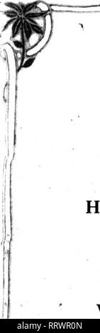 . Floristen Review [microform]. Blumenzucht. Oktober 3, 1912. Die Floristen^ Review 25. Bitte beachten Sie, dass diese Bilder sind von der gescannten Seite Bilder, die digital für die Lesbarkeit verbessert haben mögen - Färbung und Aussehen dieser Abbildungen können nicht perfekt dem Original ähneln. extrahiert. Chicago: Floristen Pub. Co Stockfoto