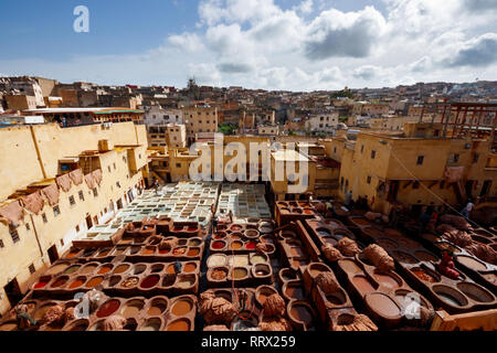 Arbeitnehmerinnen, die und färben Leder im Chouara traditionl Weise in der Gerberei. Medina von Fez, Marokko. Stockfoto