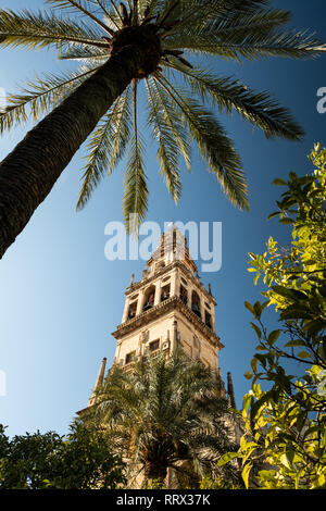 Torre de Campanario mit Palme Stockfoto