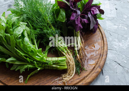 Frisch geerntete Kräuter, Trauben von frischem Kraut auf grauem Beton Hintergrund. Bündel von organischen Basilikum, Dill und Rucola von einheimischen Bauern. Stockfoto