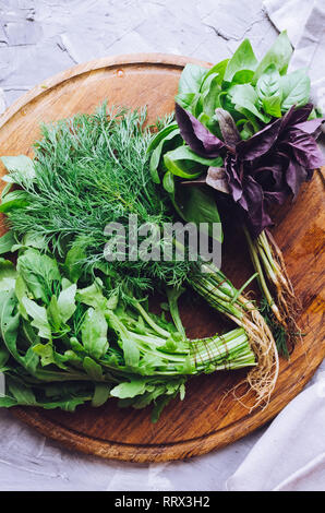Frisch geerntete Kräuter, Trauben von frischem Kraut auf grauem Beton Hintergrund von oben. Bündel von Basilikum, Dill und Rucola. Ansicht von oben. Flach. Stockfoto
