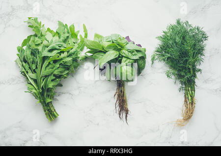 Frisch geerntete Kräuter, Trauben von frischem Kraut auf weißem Hintergrund von oben. Bündel von organischen Basilikum, Dill und Rucola von einheimischen Bauern. T Stockfoto
