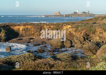 Seeelefanten lag auf dem Strand in einer Bucht in der Nähe von San Simeon, Kalifornien während einer Dezember sunrise, mit einem großen Stapel und Licht Haus im Hintergrund. Stockfoto