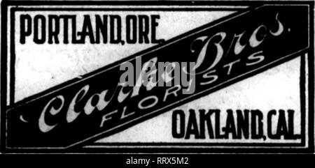 . Floristen Review [microform]. Blumenzucht. Samuel Murray KANSAS CITY, MO. 913 Grand Avenue AJI Orden QlTen prompte und sorgfältige Ittentloa. Mitglied der Floristen "Telegraph Lieferung. EVENDEN Williamsporty PA BROS., FLORISTEN Alle zentralen S. nna füllen können. Bestellungen ausverkauft die bessere Note von blühenden Pflanzen." "H. C. Doescher: "Das Geschäft war gut und hatte eine große Nachfrage für blühende Pflanzen." Charles Eble: "Haben die gleiche gute Geschäfte wie eh und je. Meine Lieferung Auto gehalten wurde beschleunigt." C.W.: Eichling" hatte das beste Ostern seit ich im Geschäft gewesen. Alles ging in beiden flowerin Stockfoto