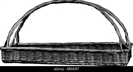 . Floristen Review [microform]. Blumenzucht. 24 Die Floristen Review Mai 20, 1913 .. Bitte beachten Sie, dass diese Bilder sind von der gescannten Seite Bilder, die digital für die Lesbarkeit verbessert haben mögen - Färbung und Aussehen dieser Abbildungen können nicht perfekt dem Original ähneln. extrahiert. Chicago: Floristen Pub. Co Stockfoto