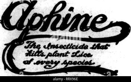 . Floristen Review [microform]. Blumenzucht. Fragen Sie Ihren Jobbor für It oder ordor DIroct von uns Edw. E. McMorrah S Co.162-166 N. Clintoa Street CHICAGO Erwähnen rhe Überprüfen, wenn yon SCOTCH RUSS FÜR SCHNECKEN UND ANDERE PARASITEN 112 lbs schreiben, $ 3,00 WH. ELLI01T &Amp; Söhne 42 Viiey Street, NEW YORK. Die lECOGNIZEB STANDAID HSECnOK kein Allheilmittel, aber ein bestimmtes Mittel für alle SAP-saugenden Insekten befallen Pflanzen, wie Grün, Schwarz, Weiße Fliege, Rote Spinne, thrlpa, mehlige Bug und weichen Skalen. tl.OO pro Quart; $ 8,50 pro Callon. °nmmt ein unfehlbares Heilmittel (oder Mehltau, Rost, und Sitzbank Pilze. Nicht Stockfoto