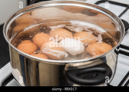 Kochen Eier in kochendes Wasser in Wanne Top View Stockfoto