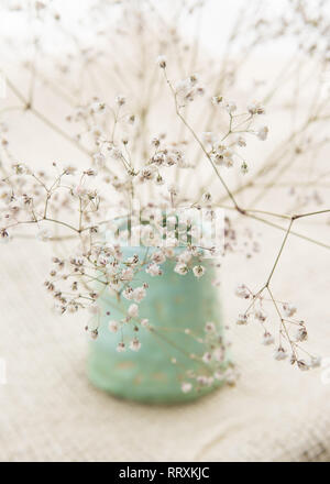 Getrocknete Atem Blumen des natürlichen gypsophila Baby einfach in handgefertigten Blassgrün pot gegen neutrale hessische Hintergrund angeordnet Stockfoto