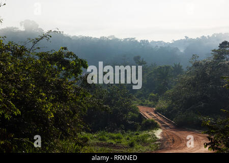 Trans-Amazonian Highway in Brasilien während der trockenen Jahreszeit Stockfoto