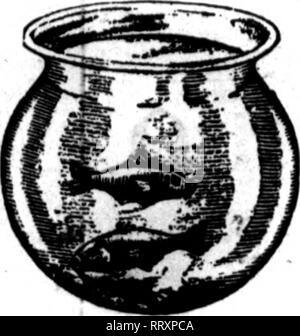 . Floristen Review [microform]. Blumenzucht. 28 Tlie Floristen Review NOTBMBBB 7, 1912. Es gibt Geld für Sie in GOLDFISCH Hier ist ein besonderes Angebot, das bedeutet einen großen Gewinn für Sie. Wir werden zu einem Blumengeschäft in jeder Stadt, der Vorteil dieser feinen Sortiment geben. Bitte beachten Sie, dass diese Bilder sind von der gescannten Seite Bilder, die digital für die Lesbarkeit verbessert haben mögen - Färbung und Aussehen dieser Abbildungen können nicht perfekt dem Original ähneln. extrahiert. Chicago: Floristen Pub. Co Stockfoto