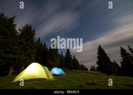 Zwei hell leuchtende, touristische Zelte auf der grünen Wiese Wald Lichtung unter hohen Kiefern auf klaren dunkelblauen Sternenhimmel Hintergrund. Tourismus, Nacht Camping Stockfoto