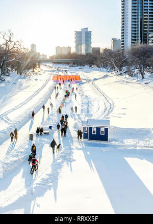 Ice Skater, Radfahrer, Wanderer auf dem gefrorenen Assiniboine River, Teil des Red River gegenseitige Trail, Gabeln, Winnipeg, Manitoba, Kanada. Stockfoto