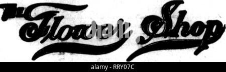 . Floristen Review [microform]. Blumenzucht. CUDC BROS. CO. Floristen 1214. r9T NW yvA 8 HIN 0 Tonne. aC Washington, D.C GUDE Mitglied Floristen "Telegraph Lieferung HAYWARD FLORAL CO 216 West Stath SL, LOS ANGELES. CAL Darm Blumen oder gutes Design Arbeiten der besten Künstler und desigmers, geliefert - wo im Westen nach Eingang der Mail oder fernschreiber Bestellungen. Übliche Abschlag auf den tracfo. WOLFSKnXS* und MORRIS GOLDENSON CoDM&gt; lidate 4. Aus ri.OWKB MEBOHAMTS Wir tele" rraph Bestellungen erbitten. Handel bapilar Discoant ZnW. IUnTstrtcl. LOS ANGIUS, CAL F. LIchtenberg 328 W. ratk St, Lm Aufdei, CiL Macht a8 i) ecialty Stockfoto