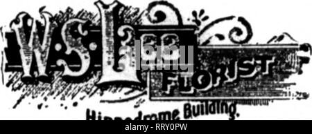 . Floristen Review [microform]. Blumenzucht. Florale CO 413 Madison Ave., Cor. 48Th St., NEW YORK BsUsws Avsnas, Newport, Brechungsindex. Hippodrom * 44 l?crriC £ l* SIICrNAVk suxioMC 714 awvANt neue YORiV STRAMER BESTELLUNGEN ein SPBCtALTY. 11 Bestellungen erhalten Sie vorsichtig attenaon. caoioa ISeaotles. Orchideen und das Tal immer zur Hand. Bitte beachten Sie, dass diese Bilder sind von der gescannten Seite Bilder, die digital für die Lesbarkeit verbessert haben mögen - Färbung und Aussehen dieser Abbildungen können nicht perfekt dem Original ähneln. extrahiert. Chicago: Floristen Pub. Co Stockfoto