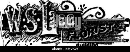 . Floristen Review [microform]. Blumenzucht. Florale CO 413 Madison Ave. Kor. 48Th St.. NEW YORK Bellewe Arenae, Newport. K.I.. HlppodiiS^^ SS? EL'iSV^ 44 DCrRfCr • Ein "l&gt; siicrN miwoirt "Ich"""" • • "HEWYORK 4 SPECIALTV ATKAMEB BESTELLUNGEN EIN. (V 4. iitfiiora rucelVu caretui acusuuui^ xjlioioa IBeaaties. Orchideen und das Tal immer zur Hand. Bitte beachten Sie, dass diese Bilder sind von der gescannten Seite Bilder, die digital für die Lesbarkeit verbessert haben mögen - Färbung und Aussehen dieser Abbildungen können nicht perfekt dem Original ähneln. extrahiert. Chicago: Floristen Pub. Co Stockfoto