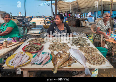 Frauen zusammen Chat als Sie hinter Ihren zeigt der Fische zum Verkauf auf dem Fischmarkt an Negombo Negombo Beach im Westen der Provence von Sri Lank sitzen Stockfoto