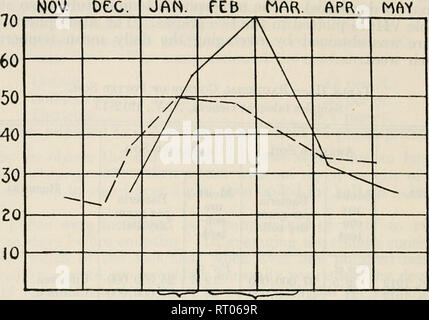 . Jahresbericht der EU-Kommissar für Landwirtschaft... Landwirtschaft - New York (State). 188 Bericht der Abteilung Bakteriologie der Bakterien 1913 19 W ttAft. APR. Mai. noiSTURt 40 30 20 10 gefrorene fftOZLN* - ^-^^^-. *&Gt;*'. Topf Topf 1 eine TEhPCRATOftC 15 e 10" 5°0'-10'-15 Grafik VI.- Bakterienzahlen in Belüfteter Boden, Topf Experiment, 1913-14. In Millionen Bakterien pro Gramm; Feuchtigkeitsgehalt in Prozent, chemische Basis; Temperatur in Grad Celsius, Durchschnitt pro Woche. /A/V^V Bitte beachten Sie, dass diese Bilder aus gescannten Seite Bilder, die wurden d Stockfoto