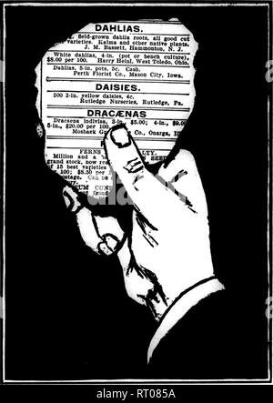 . Floristen Review [microform]. Blumenzucht. ' ' '{Jr.-"^^ VT Dezember 8, 1911. Die wöchentlichen Floristen' überprüfen. 23 Scott. Holt durchgeführt oflf sowohl die Ehrungen und die Flasche. J. in Austin Shaw. East Hartford, Anschl.-Streich W. Richardson ist ernsthaft an seinem Haus krank, nachdem vor kurzem eine Opera- tion durchgemacht, ist aber sagte sowie zu tun erwartet werden könnte. Des Plaines, HL-C. C. Wakeling, ehemals mit Hoerber Bros., hat die Position des Vorarbeiter für die Kemble Floral Co., bei Oskaloosa, La. genommen, und hat seine Familie dorthin verschoben. Adrian, Michigan-Wm. Wickham berichtet, dass Weihnachten Handel gut war. Kränze o Stockfoto