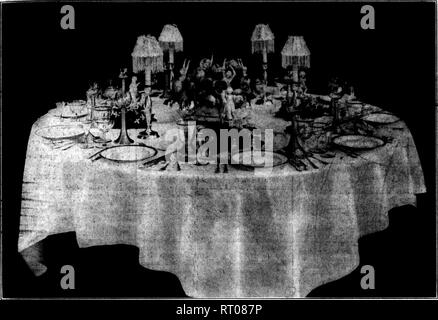 . Floristen Review [microform]. Blumenzucht. DBCBMBKE 28.1911. "Die wöchentlichen Floristen' überprüfen. 17. Bitte beachten Sie, dass diese Bilder sind von der gescannten Seite Bilder, die digital für die Lesbarkeit verbessert haben mögen - Färbung und Aussehen dieser Abbildungen können nicht perfekt dem Original ähneln. extrahiert. Chicago: Floristen Pub. Co Stockfoto