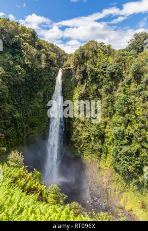 Akaka Falls in der Nähe von Hilo auf Big Island, Hawaii. Stockfoto