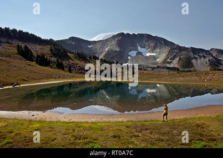 WASHINGTON - Mount Rainier und Crescent Berge spiegeln sich in einem kleinen See unterhalb Tyee Berg entlang der nördlichen Loop Trail im Mount Rainier NP. Stockfoto