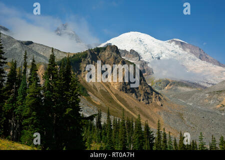 WA 15802-00 ... WASHINGTON - Berg Rainie, wenig Tahoma Peak und die emmons Glacier die Wonderland Trail in der Nähe von Summerland in Mount Rainier Na Stockfoto