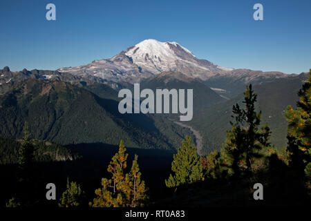 WA 15810-00 ... WASHINGTON - am frühen Morgen Blick auf den Mount Rainier von Crystal Peak im Mount Rainier National Park. Stockfoto