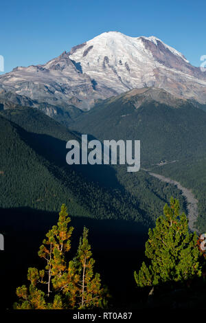 WA 15811-00 ... WASHINGTON - am frühen Morgen ansehen, die weiße Fluss zu Mount Rainier von Crystal Peak im Mount Rainier National Park. Stockfoto