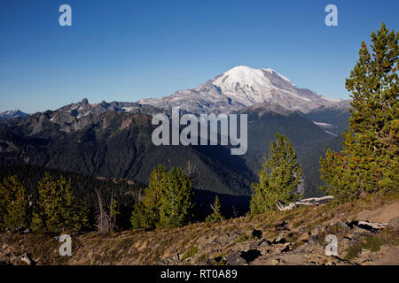 WA 15812-00 ... WASHINGTON - am frühen Morgen ansehen, die weiße Fluss zu Mount Rainier von Crystal Peak im Mount Rainier National Park. Stockfoto