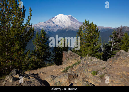 WA 15815-00 ... WASHINGTON - am frühen Morgen ansehen, die weiße Fluss zu Mount Rainier von Crystal Peak im Mount Rainier National Park. Stockfoto