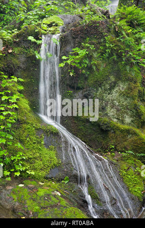 Der Tausend Tropfen entlang der Roaring Fork Motor Tour in der Great Smoky Mountains National Park Tennessee USA Stockfoto