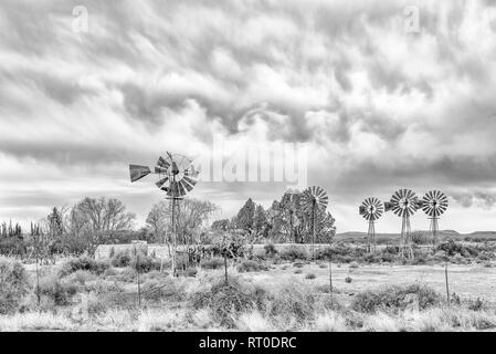 Sechs Wasser-pumpt, Windmühlen und Dämme zwischen Vosburg und Britstown in der Northern Cape Provinz. Schwarzweiß Stockfoto