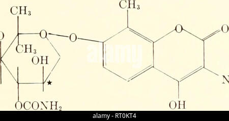 Antibiotikum roxy Melyik orvossal