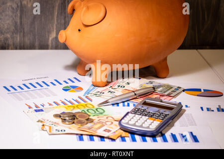 Sparschwein auf Geld, Euro Rechnungen, bussiness Berichte, Stift und Taschenrechner Stockfoto