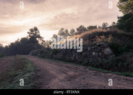 Tag der Umwelt Konzept: Land der Berge Sonnenaufgang Hintergrund. Nebliger sonnenaufgang Tag auf dem Montain Stockfoto