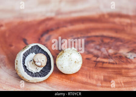 Pilz auf einem hölzernen Hintergrund mit Platz für Text Stockfoto