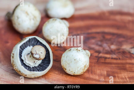 Pilz auf einem hölzernen Hintergrund mit Platz für Text Stockfoto