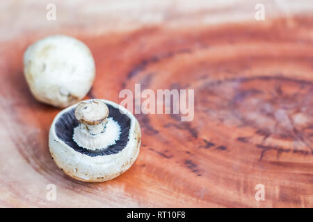 Pilz auf einem hölzernen Hintergrund mit Platz für Text Stockfoto
