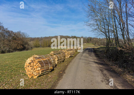 Gesägt, gespalten Holz, Baumstämme liegen auf der Wiese. Thema: Alternative Heizmethoden und Umweltschutz. Stockfoto