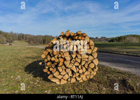 Gesägt, gespalten Holz, Baumstämme liegen auf der Wiese. Thema: Alternative Heizmethoden und Umweltschutz. Stockfoto