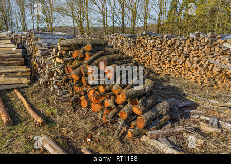 Gesägt, gespalten Holz, Baumstämme liegen auf der Wiese. Thema: Alternative Heizmethoden und Umweltschutz. Stockfoto