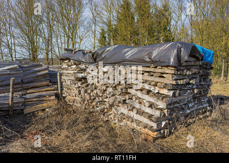 Gesägt, gespalten Holz, Baumstämme liegen auf der Wiese. Thema: Alternative Heizmethoden und Umweltschutz. Stockfoto