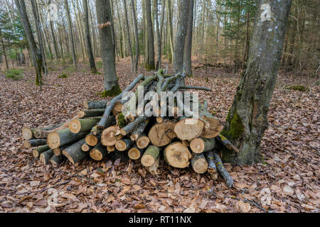 Gesägt, gespalten Holz, Baumstämme liegen auf der Wiese. Thema: Alternative Heizmethoden und Umweltschutz. Stockfoto