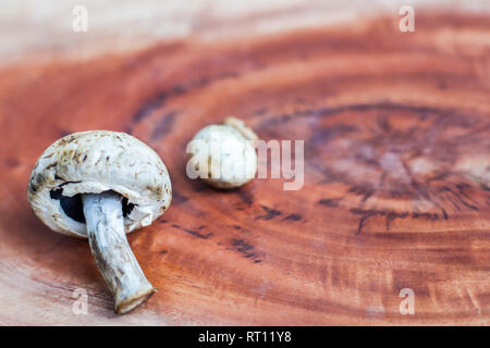 Pilz auf einem hölzernen Hintergrund mit Platz für Text Stockfoto