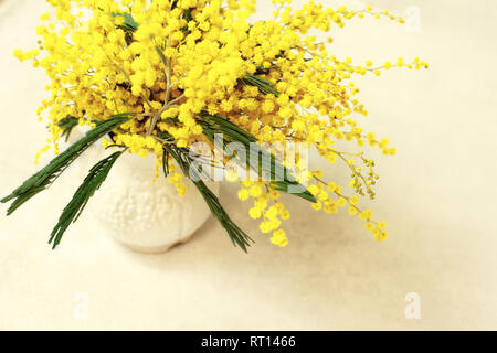 Mimosa blumen strauß in der Vase vintage Muskelaufbau. Stockfoto