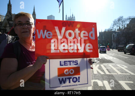 London, UK, UK. 26 Feb, 2019. Anti-Brexit Demonstrator gesehen Plakate während des Protestes außerhalb der Häuser des Parlaments als der britische Premierminister Theresa May beschreibt ihre Pläne auf das Vereinigte Königreich aus der Europäischen Union. Credit: Dinendra Haria/SOPA Images/ZUMA Draht/Alamy leben Nachrichten Stockfoto